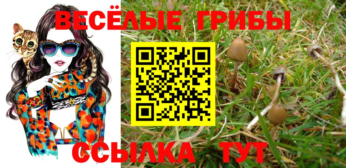 Псилоцибиновые грибы GOLDEN TEACHER  Галлюциногенные грибы MAGIC MUSHROOMS  Родники  Вход с VPN 