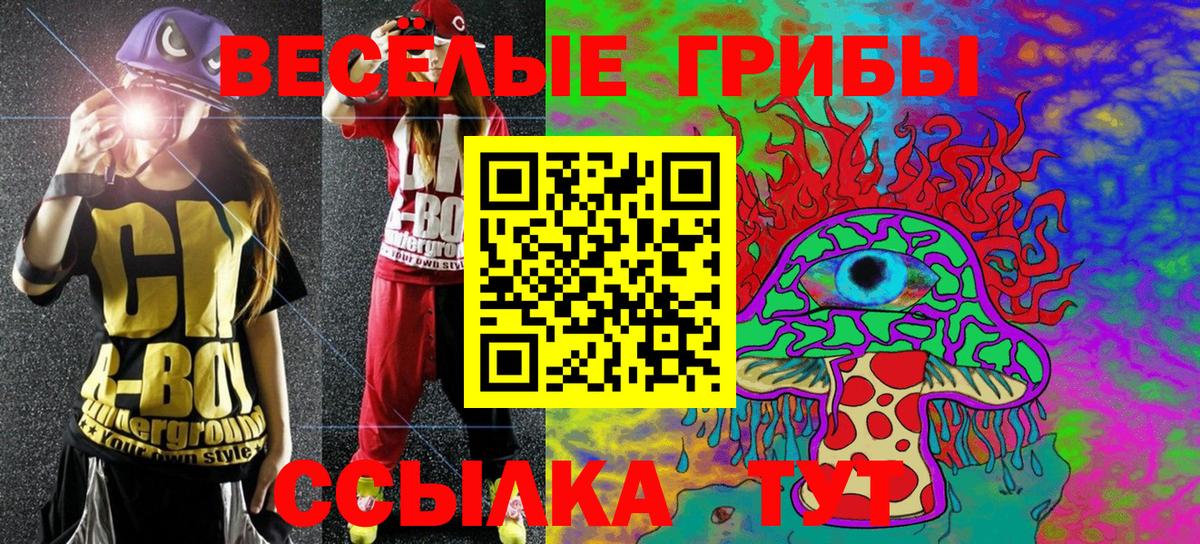 Галлюциногенные грибы Cubensis Родники